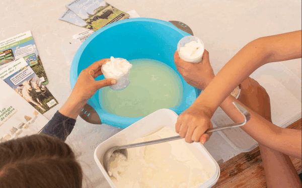 Atelier fabrication fromages de chèvre*